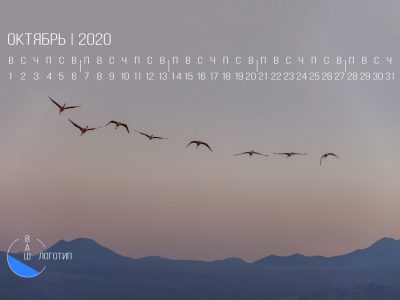 kalendar-s-foto-i-logotipom-kompanii_2019_10