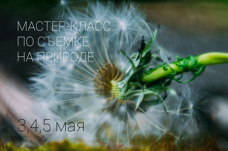 мастер-класс макро Екатеринбург